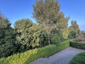 Photo 36- click for photo gallery